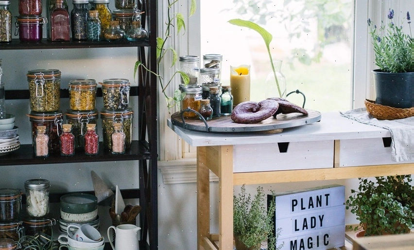 Medicinal plants in Bohemian countryside